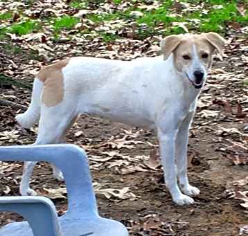 Photo of Delilah