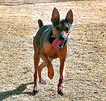 Photo of Titus