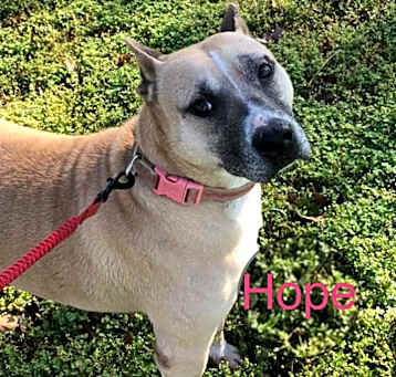 Photo of Hope