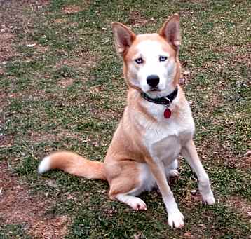 Photo of Molly