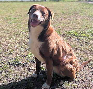 Photo of COCO PUFF