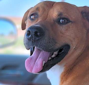 Photo of Axel