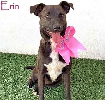 Photo of Erin