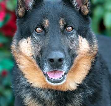 Photo of Zeek von Zeven