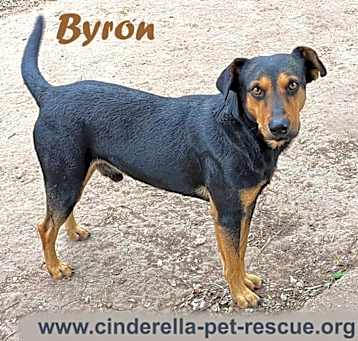 Photo of Byron