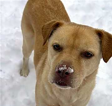 Photo of Winkle