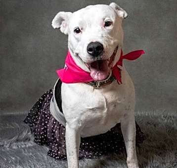 Photo of Echo