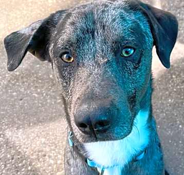 Photo of DRACO