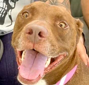 Photo of Lucy Ann - Adopt Me!
