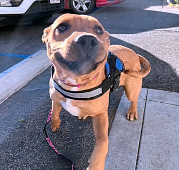 Photo of Murphy