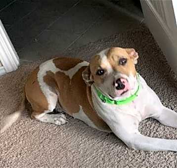 Photo of Mabel