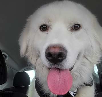 Photo of Maya