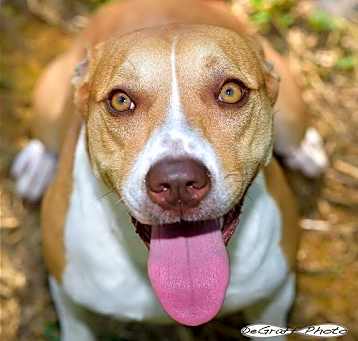 Photo of Cassi
