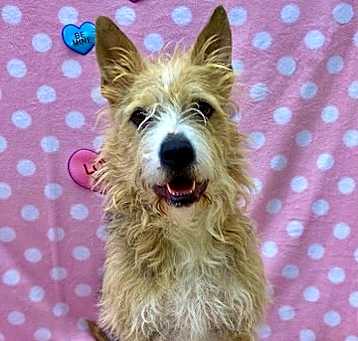 Photo of Winnie
