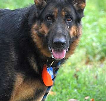 Photo of Nym
