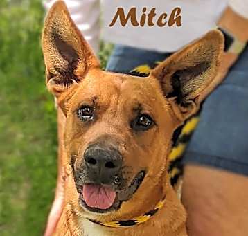 Photo of Mitch