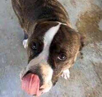 Photo of Amy