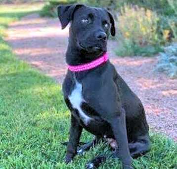 Photo of midnight