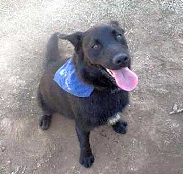 Photo of max