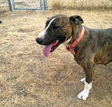Photo of Kira
