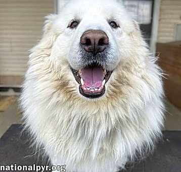 Photo of Mary in NY - Very Pretty 'Pocket Pyr'!