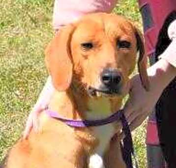 Photo of Penny