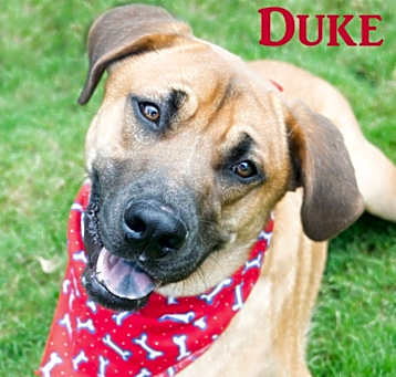 Photo of Duke