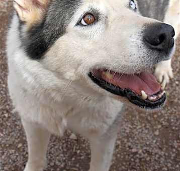 Photo of Zeus