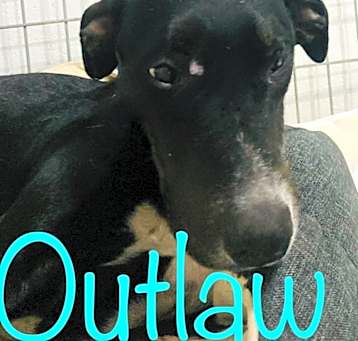 Photo of Outlaw