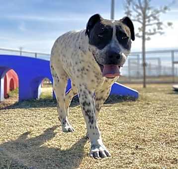 Photo of Sansa