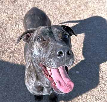Photo of Odin