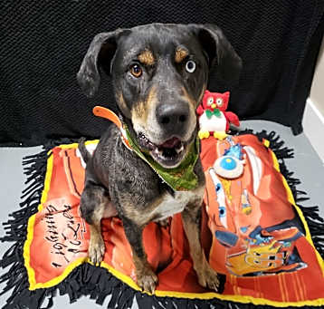 Photo of Blu
