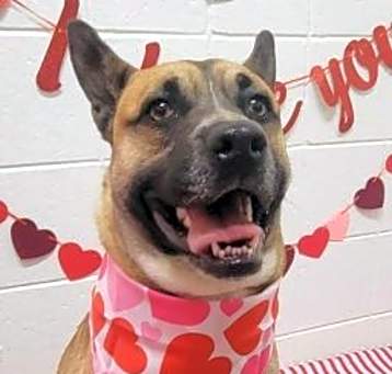Photo of Xena