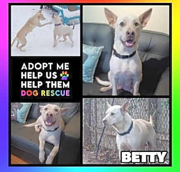Photo of Betty