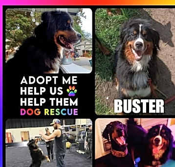Photo of Buster
