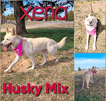 Photo of Xena