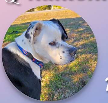 Photo of Phantom