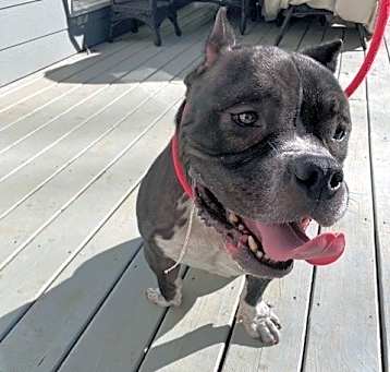 Photo of Spanky