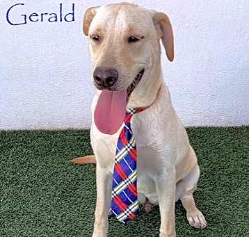 Photo of Gerald