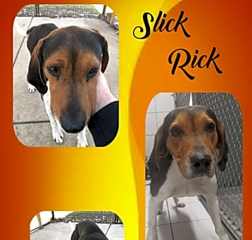 Photo of Slick Rick