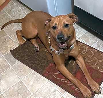 Photo of Bella