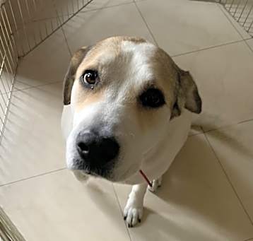 Photo of Molly