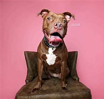 Photo of Cass