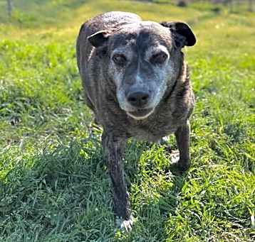 Photo of Annabelle