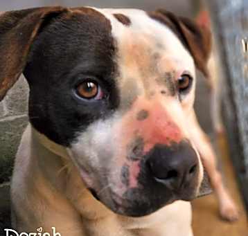 Photo of Doziah