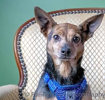 Photo of BELLA