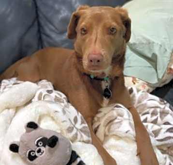 Photo of Coco