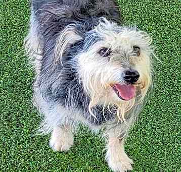 Photo of Lilly