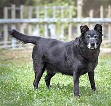 Photo of Stormy