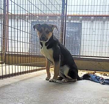 Photo of Tilly